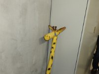 img (14)